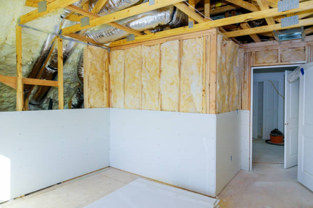 Best Insulation for Specific Applications in Frankford, DE