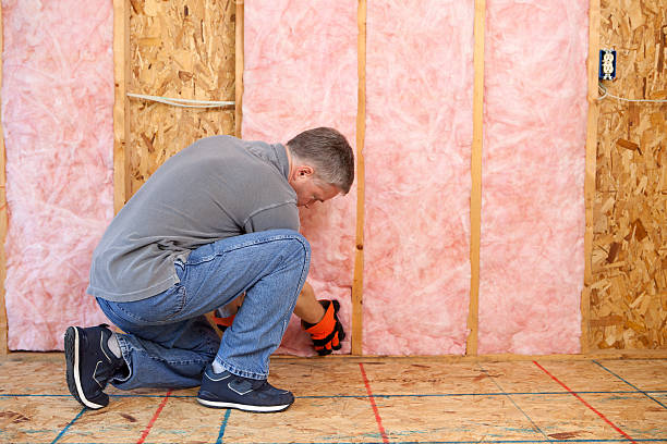 Best Insulation Maintenance and Repair in Frankford, DE